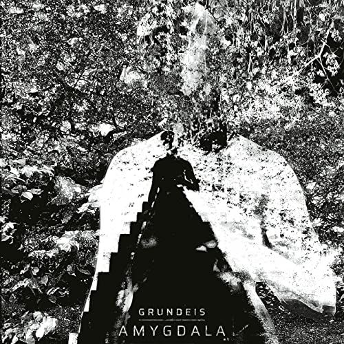 Cover des Albums Amygdala von Grundeis