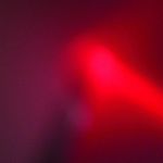 Meat Wave-The Incessant