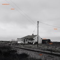 Cover des Albums When Youth Fades Away von Somebody's Child