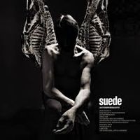 Cover des Albums Antidepressants der Band Suede