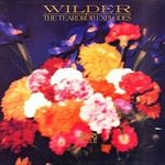 The Teardrop Explodes - Wilder