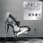 unkle-where-did-the-night-fall
