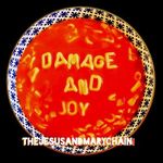 The Jesus and Mary Chain - Damage Joy